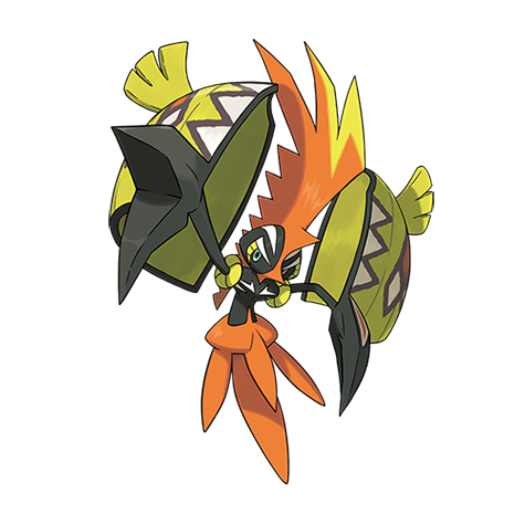 Tapu koko